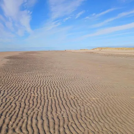 6 Person In Romo-by Traum