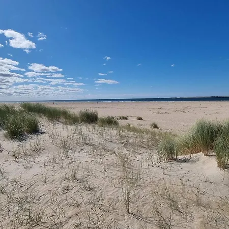 6 Person In Romo-by Traum