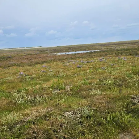 6 Person In Romo-by Traum