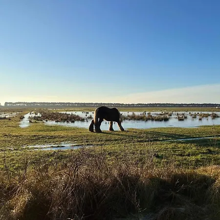 6 Person In Romo-by Traum