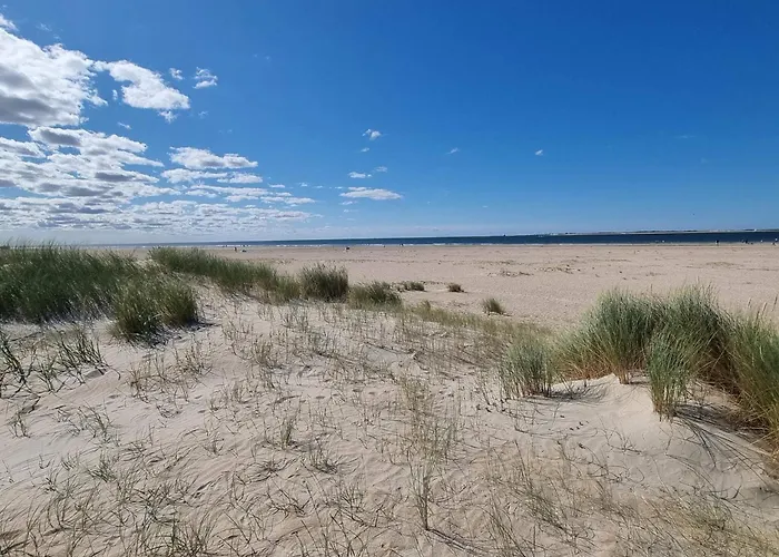 6 Person In Romo-by Traum