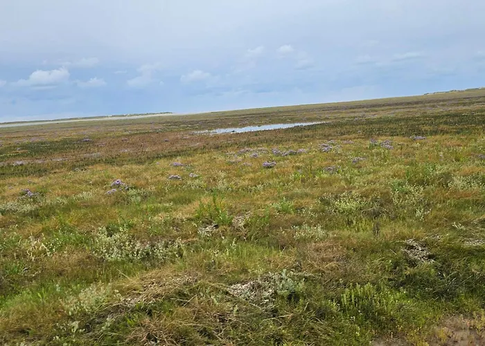 6 Person In Romo-by Traum