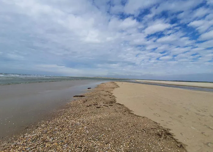 Lejlighed 6 Person In Romo-by Traum *