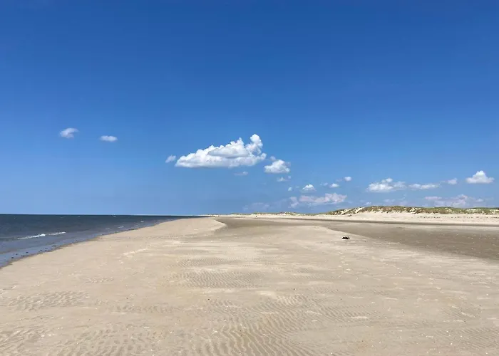 6 Person In Romo-by Traum *