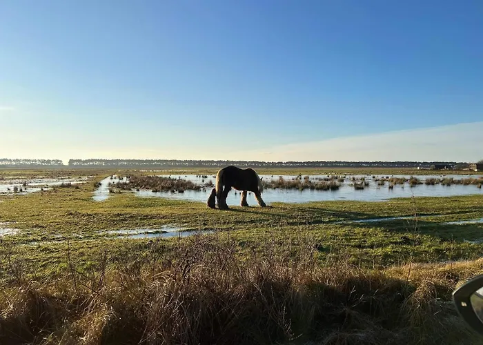 6 Person In Romo-by Traum